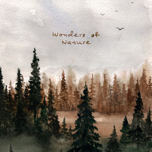 免费在线黄视频
