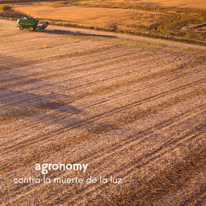 免费在线黄视频
