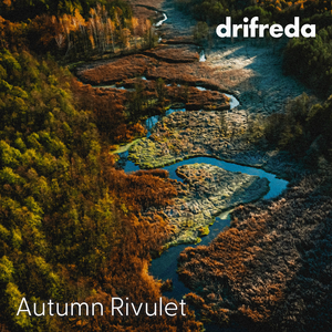 免费在线黄视频
