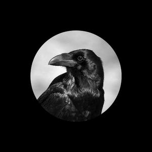 免费在线黄视频
