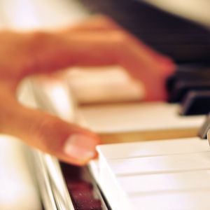 免费在线黄视频
