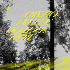 免费在线黄视频
