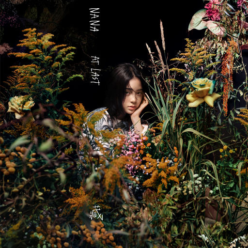 免费在线黄视频
